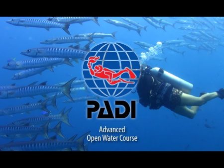 Open Water Scuba Scuba diving course Naui (Copy) Cheap