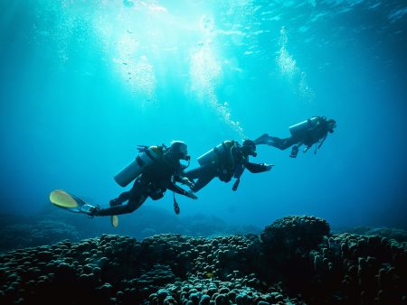 Open Water  Scuba Scuba diving course Hot on Sale