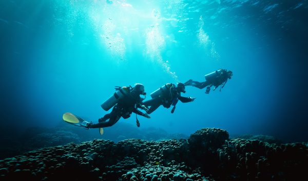 Open Water  Scuba Scuba diving course Hot on Sale